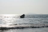 Нажмите для просмотра goa_0016_t1.jpg